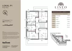 Dom 160,66 m², oferta nr P.1, LIVEO Konstancin, Solec, ul. Jaśminowa