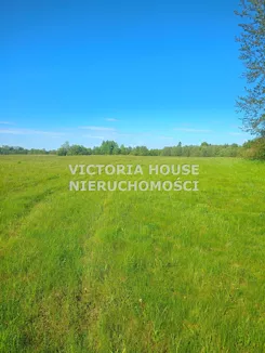 VIC-GS-1069 - zdjęcie nr 3