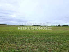 VIC-GS-1040 - zdjęcie nr 5