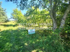 VIC-GS-1078 - zdjęcie nr 0