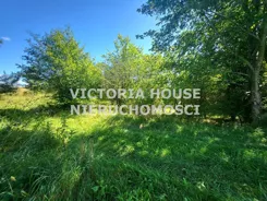 VIC-GS-1078 - zdjęcie nr 1
