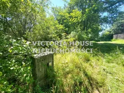 VIC-GS-1078 - zdjęcie nr 3