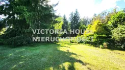 VIC-GS-1108 - zdjęcie nr 2