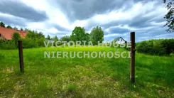 VIC-GS-1101 - zdjęcie nr 2