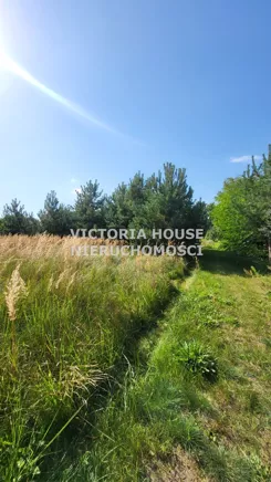 VIC-GS-1115 - zdjęcie nr 5