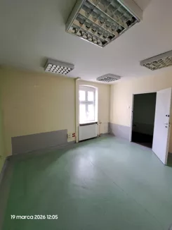 1036 - zdjęcie nr 2