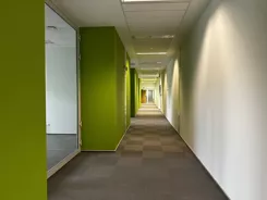 455-12 - zdjęcie nr 3