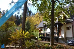 43952 - zdjęcie nr 3