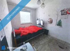 41379 - zdjęcie nr 4