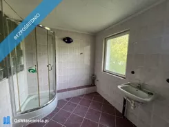 38878 - zdjęcie nr 3