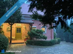 42245 - zdjęcie nr 1