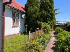 42479 - zdjęcie nr 3