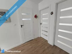 41675 - zdjęcie nr 1