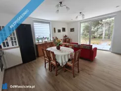 41675 - zdjęcie nr 3