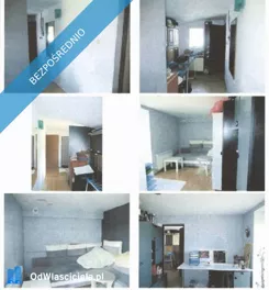 42320 - zdjęcie nr 3