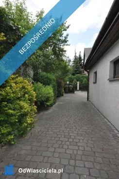 42465 - zdjęcie nr 4
