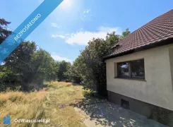 42963 - zdjęcie nr 2