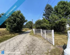 42963 - zdjęcie nr 3