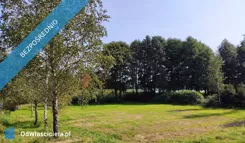 44421 - zdjęcie nr 1