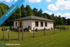 41892 - zdjęcie nr 2