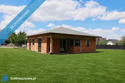 41892 - zdjęcie nr 3