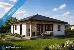 41892 - zdjęcie nr 4