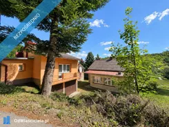 43589 - zdjęcie nr 2