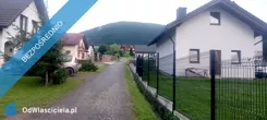 42539 - zdjęcie nr 1