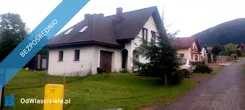 42539 - zdjęcie nr 2