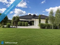42393 - zdjęcie nr 2