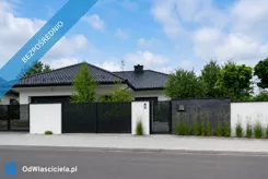 42393 - zdjęcie nr 3