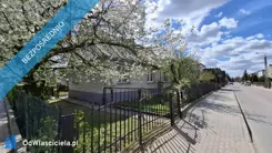 41956 - zdjęcie nr 0