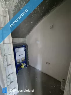 41197 - zdjęcie nr 4