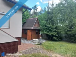 42848 - zdjęcie nr 2