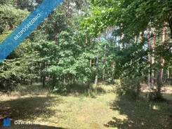 42848 - zdjęcie nr 3