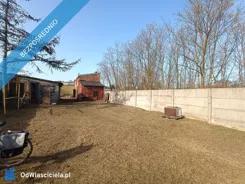 42350 - zdjęcie nr 1