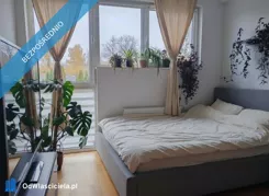 41660 - zdjęcie nr 2