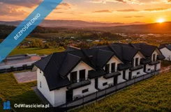 42282 - zdjęcie nr 2