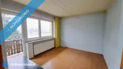 39369 - zdjęcie nr 4