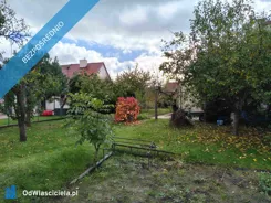44404 - zdjęcie nr 1