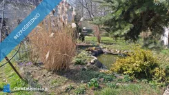 40937 - zdjęcie nr 2