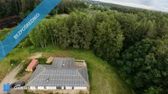 42352 - zdjęcie nr 2