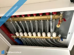 42332 - zdjęcie nr 2
