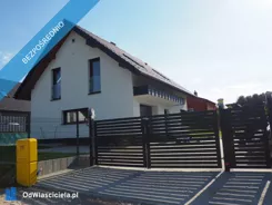 42481 - zdjęcie nr 2