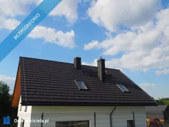 42481 - zdjęcie nr 3