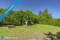 41912 - zdjęcie nr 4