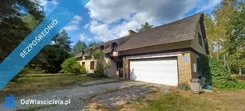 17286 - zdjęcie nr 1
