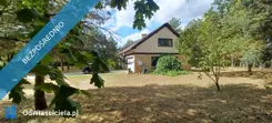 17286 - zdjęcie nr 2