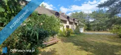 17286 - zdjęcie nr 3