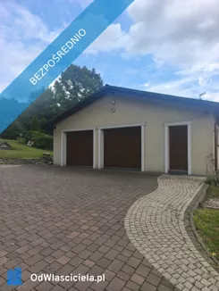 43284 - zdjęcie nr 0